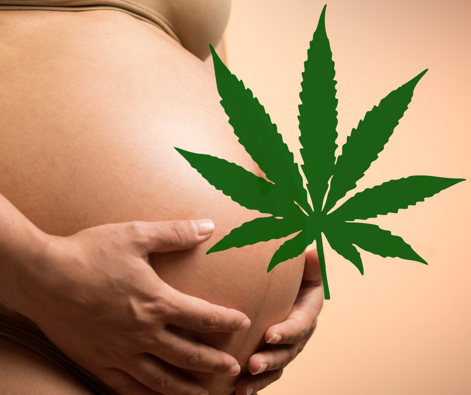 pregnant belly with cannabis leaf