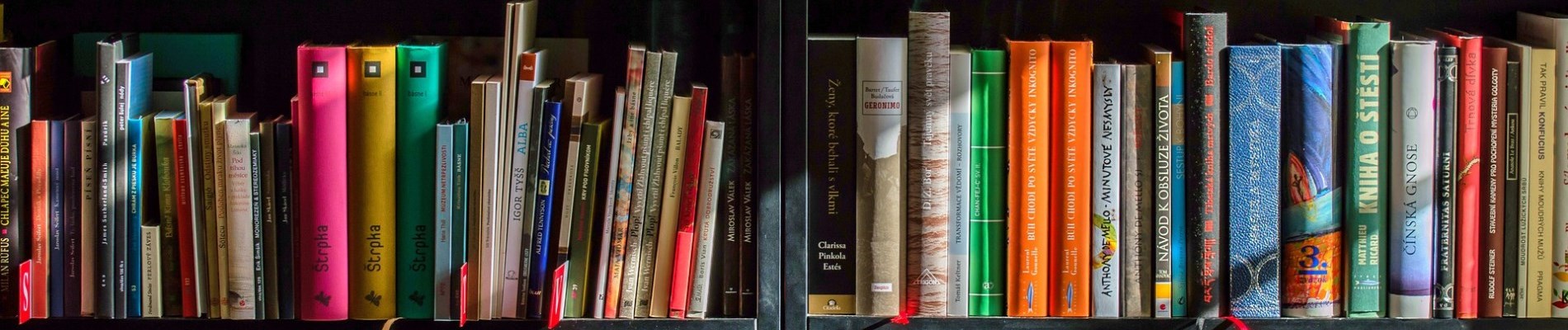 Shelf filled with books