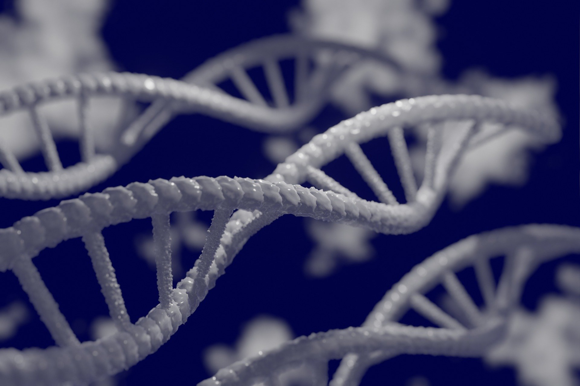 DNA helix
