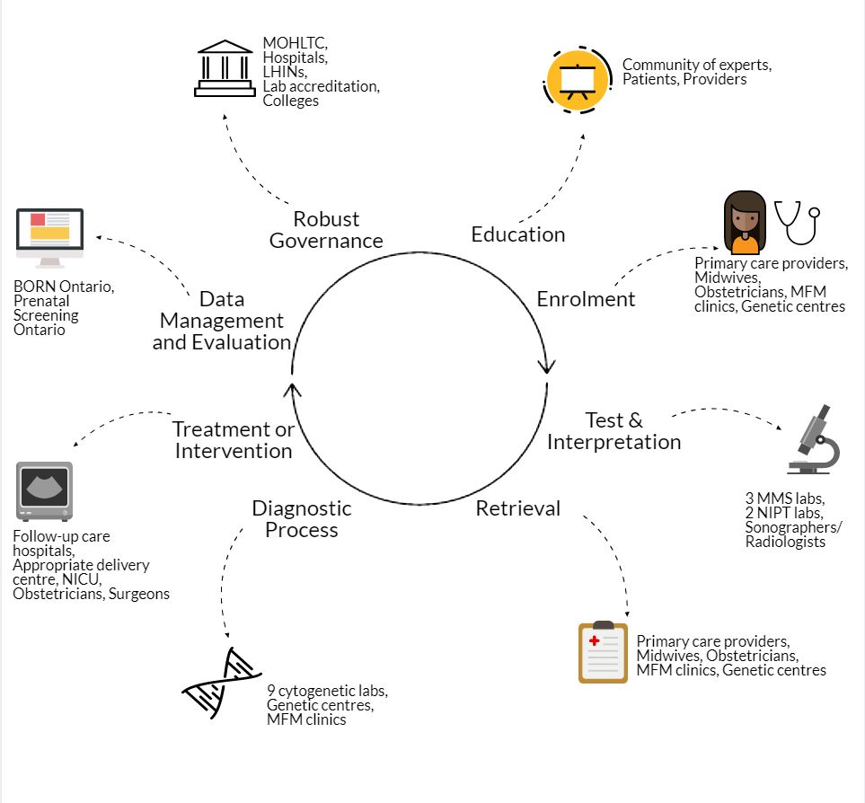 A Diagram which shows the relation between education, enrollment, tests and interpretation, retrieval, diagnostic process, treatment or intervention, data management and evaluation and robust governance.
