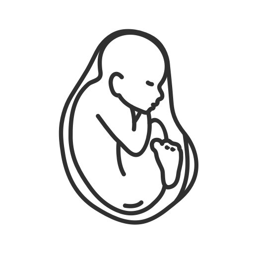 Second trimester fetus