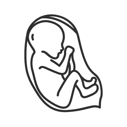 Third trimester fetus icon