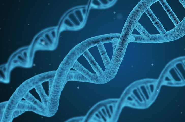 DNA helix
