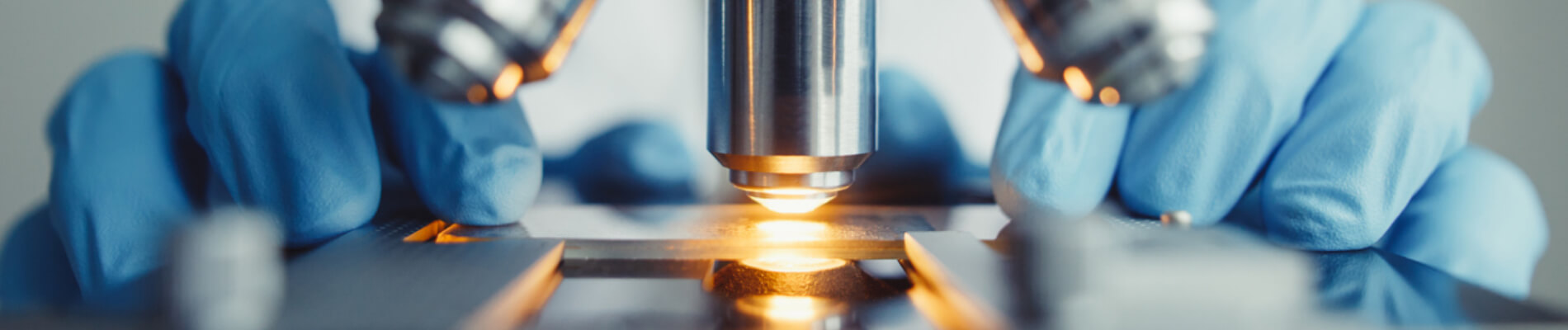 doits gantés qui manipule une plaque à la loupe