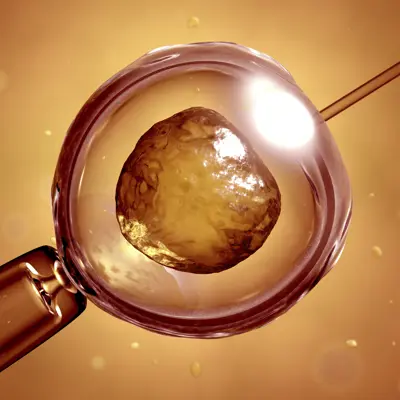 in vitro fertilization